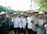 Bupati Barru Tanam Padi Perdana di Lahan 50 Hektare, Target Tambah Tanam Hingga 3 Kali Setahun