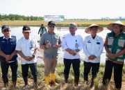 Wakil Bupati Barru Hadiri Gerakan Panen dan Tanam Bersama untuk Dukung LTT 2026